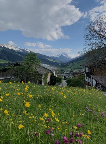 Hotel Garni Wieshof – Kirchberg, MO