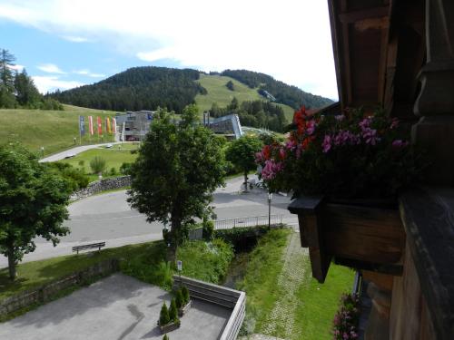 Das Edelweiss in Seefeld