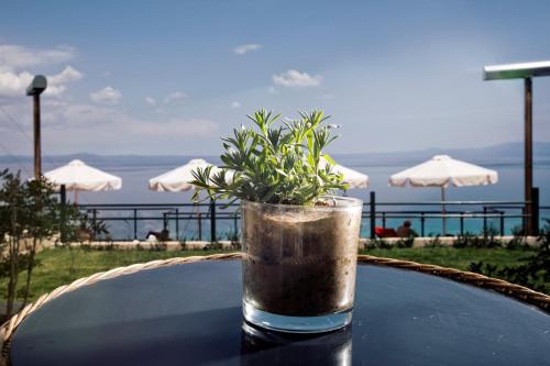 Rigas Boutique Hotel - image 13