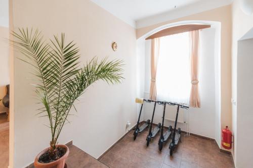 Előcsarnok, Hotel Pod Zamkem in Vranov Nad Dyji