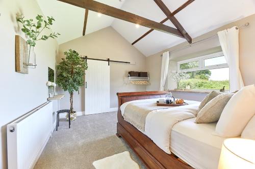 Host & Stay - The Pepper Pot, Alnwick (fotografie 8)