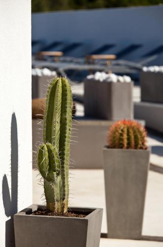 Lodge Sainte Helene - image 2