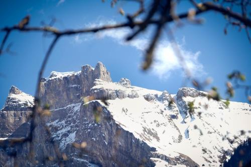 Hotel Alpina - image 11