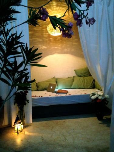 Riad of the Light