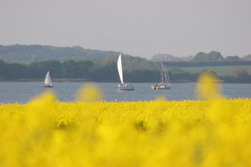 Hotel an der Schlei Garni - image 5