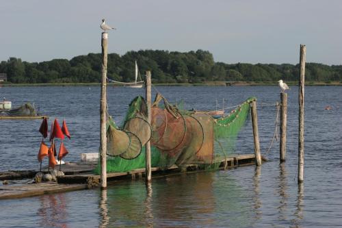 Hotel an der Schlei Garni - image 10