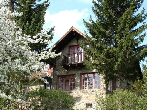 Gereben Villa in Velem