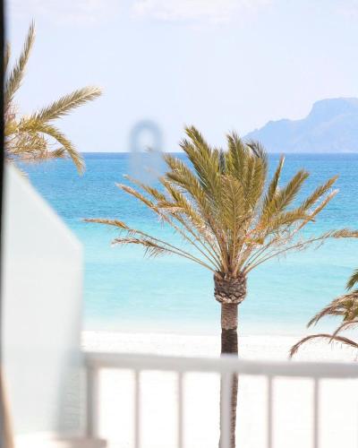 Bonavida Apartments, Port d'Alcúdia