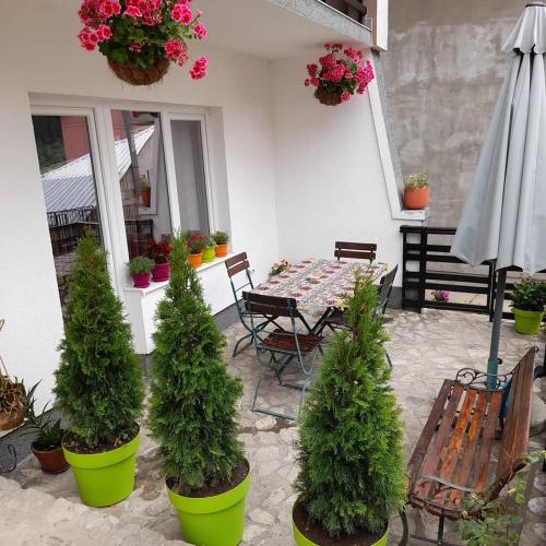 Apartmani Ajanovic - image 4