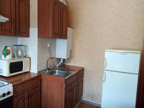 Apartment on Rihard Zorge