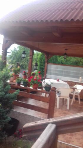 Pensiunea Irina in Sangeorz-Bai
