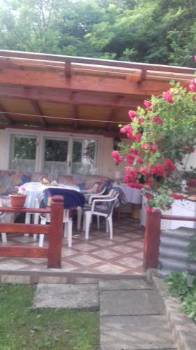 Pensiunea Irina in Sangeorz-Bai