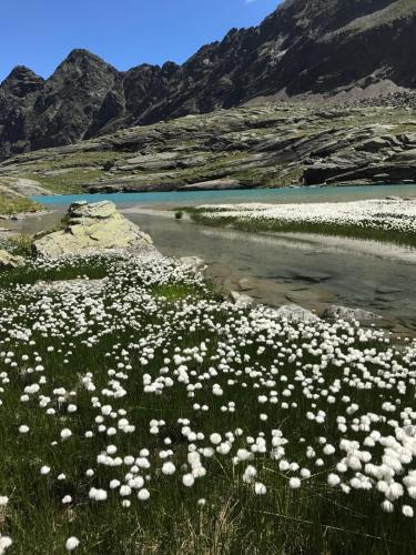 Landhaus Steinmuller in Langenfeld