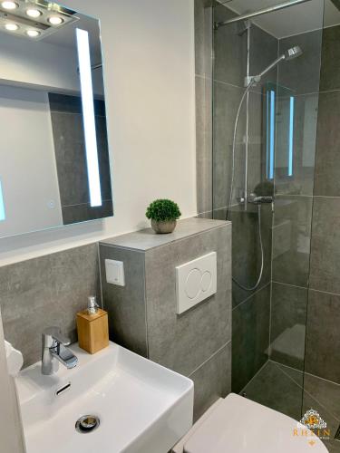 Bathroom, Rhein Apartment Souterrain Study in Vallendar