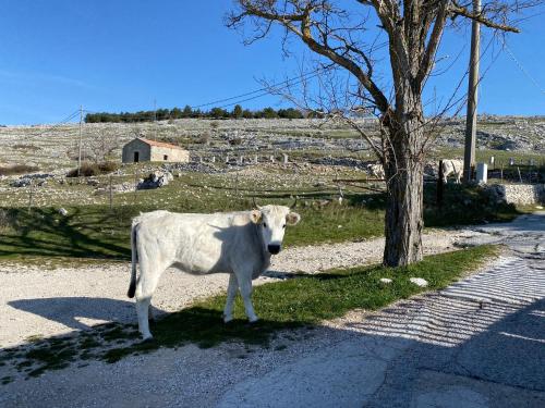 Al Dolmen