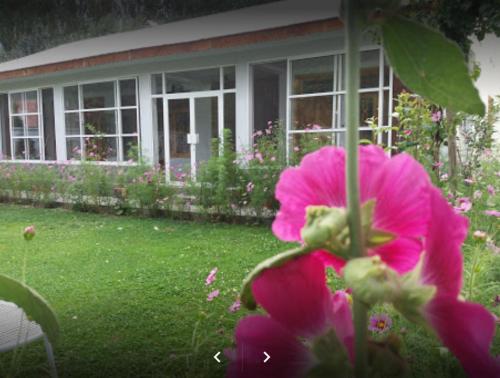 Greens Hotel Kalam — Photo 3