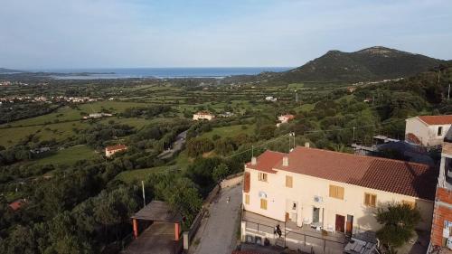 Belvedere 4