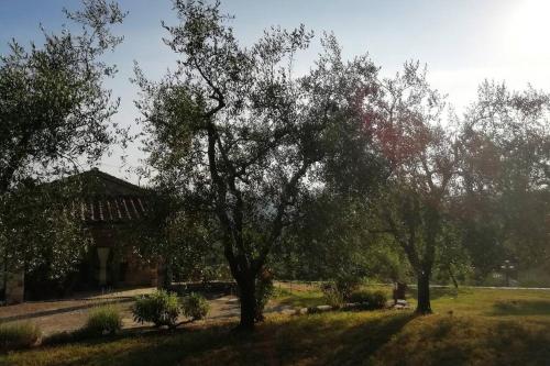 B&B Donnini - Agriturismo Fattoio alle Ripe - Fienile - Bed and Breakfast Donnini