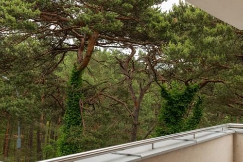 Apartamenty In Jurata Ratibora 66