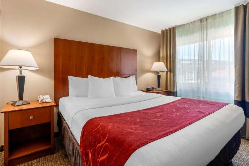 Comfort Suites North Dallas