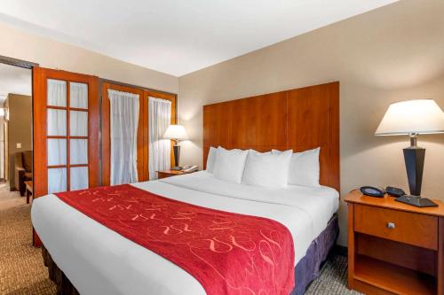 Comfort Suites North Dallas