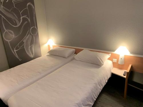 Ibis Auray