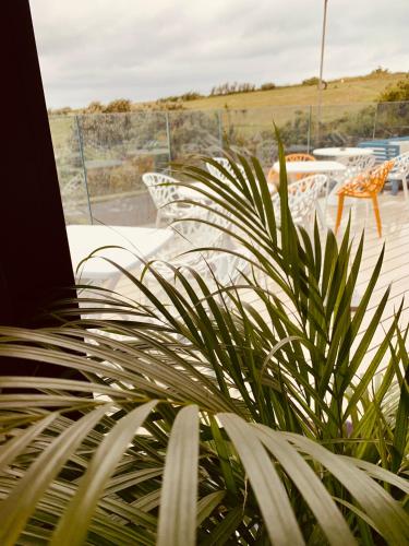 Porth Beach Hotel - image 6