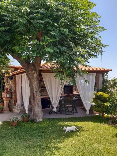 Noula's House — Hotel in Chalkidiki