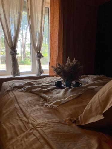 Cozy beach house Jurmala, Riga
