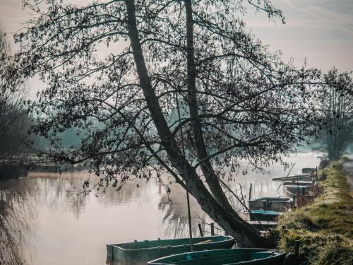 Gîte Bourges 2 pièces 4 personnes - FR-1-586-18 - image 14