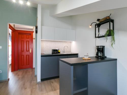 廚房, FantAttic apartment city center in 波雷奇市中心