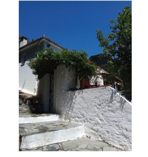 Peaceful house in Skiathos!Stunning surroundings!