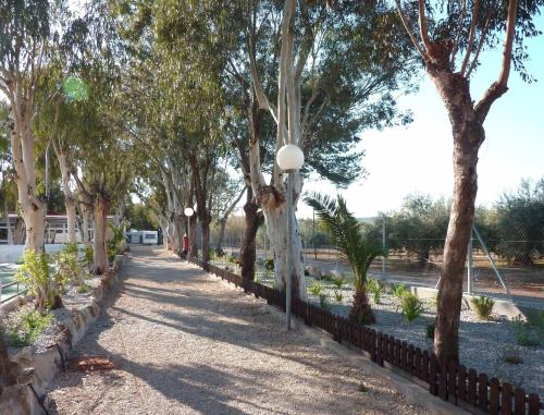 Camping Torrenostra - image 8