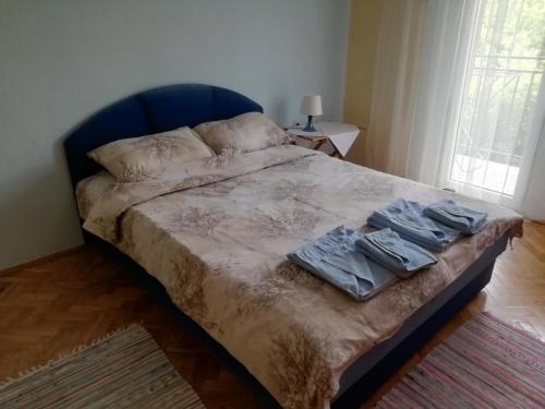 Sokobanja apartman Aviva