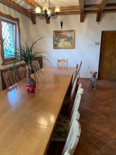 設施, Wine House, Zidanica Gruden in 新梅斯托