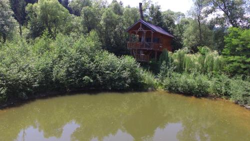Cuibul Vulturilor - Casuta in Copac