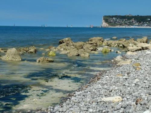 Le Seringat in Saint Leonard