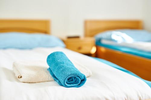 Penzion Kozí Horka u Brněnské přehrady - image 14