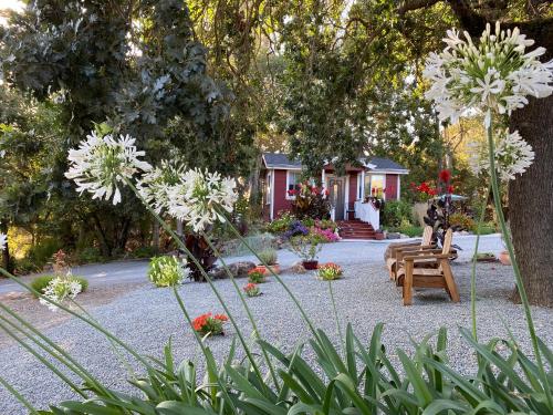 Amitabha Wine Country Cottage - Santa Rosa