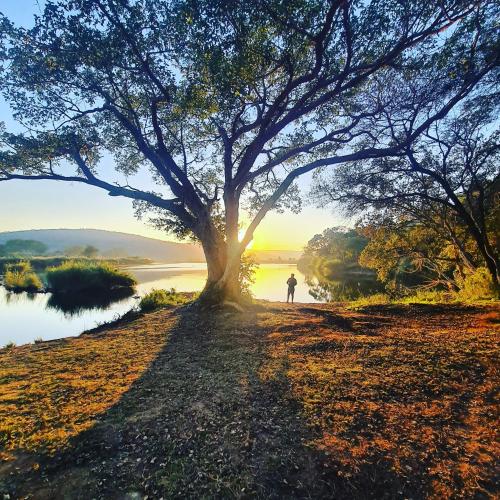สภาพแวดล้อมโดยรอบ, River Hill Lodge in อุทยานแห่งชาติครูเกอร์