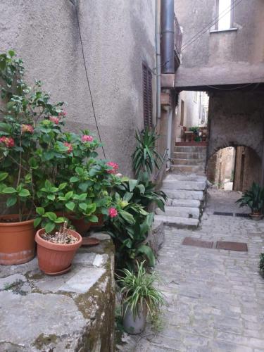 Tre metr sopra il cielo '' girasoli''