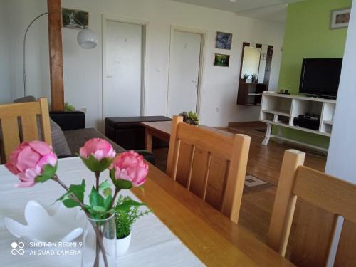  Apartments & Rooms MiaMare in Rakovica
