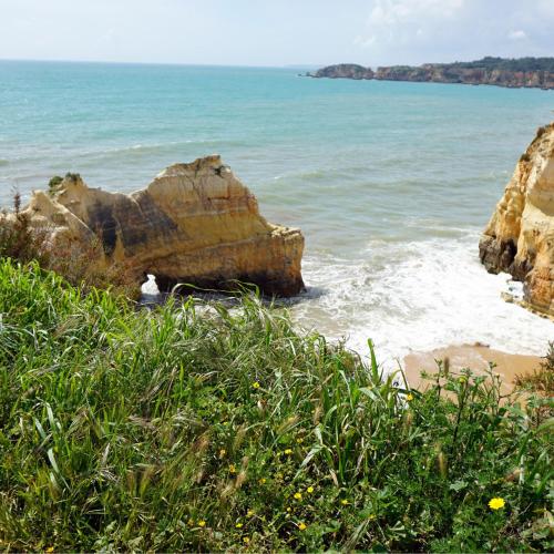 Blue Ocean Lovers by real Life Concierge