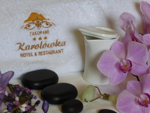 Hotel Dwór Karolówka - image 3