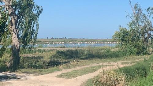 VILLA ELS FLAMENCS