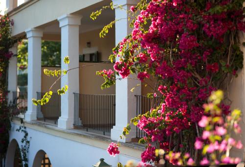 Hotel Bahia - image 2