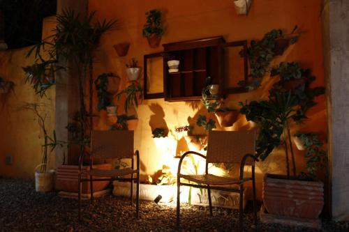 المرافق, Pousada Ilha Brazil in Piuva