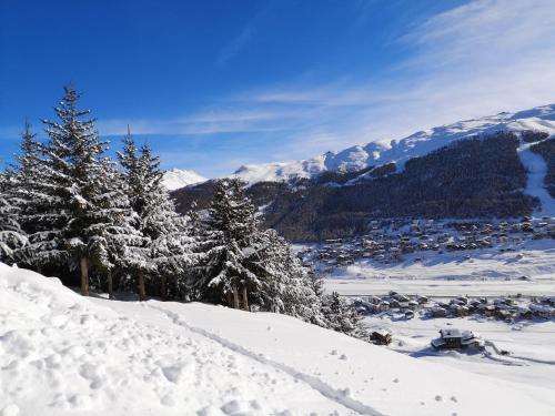 Hotel Galli - image 3