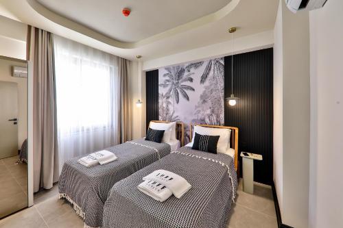Luff Suites