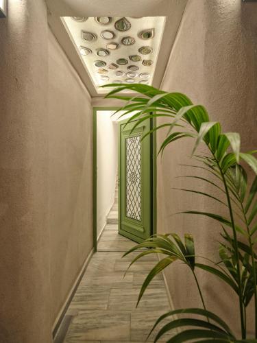 The Tree Suites, Skiathos-Stadt (Foto 4)